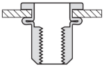 Afbeelding - https-www-ez-catalog-nl-Asset-b3061037c8834907b9792ab21999c7c3-ImageFullSize-m11-3-jpg